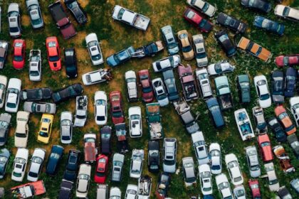 pexels photo 2530310 2530310