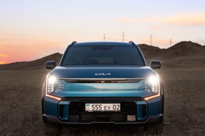 pexels photo 29278460 29278460