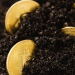 Close-up of gold bitcoins partially buried in rich dark soil, symbolizing cryptocurrency and wealth.