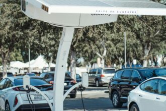 pexels photo 9800036 9800036 scaled